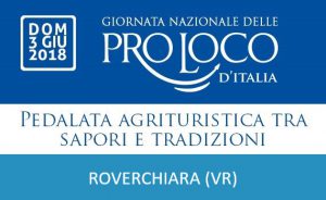 gnpl-roverchiara