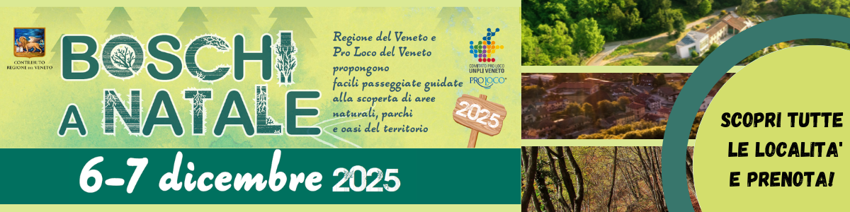 Header_boschianatale21